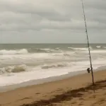 Surfcasting in autunno: dove, quando e con che mare